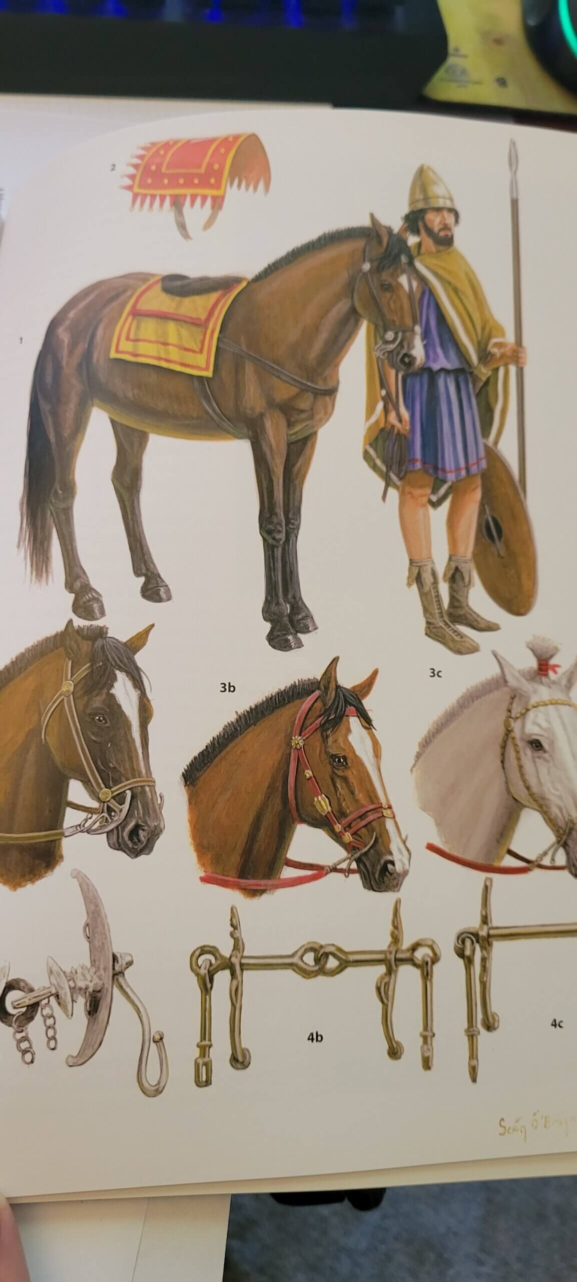 Tarantine cavalry | The Big Board